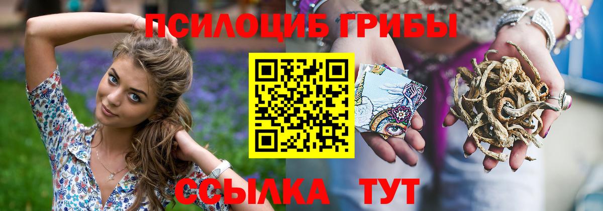 Галлюциногенные грибы мицелий  Вход с VPN  Гуково  Псилоцибиновые грибы GOLDEN TEACHER 